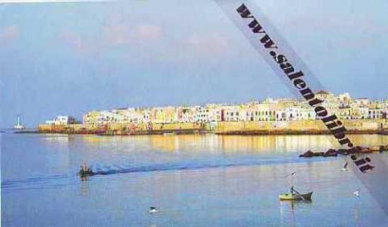 Immagine di CARTOLINA 10 X 17 GALLIPOLI
