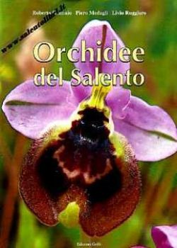Visualizza i dettagli per Orchidee del Salento Immagine di Orchidee del Salento