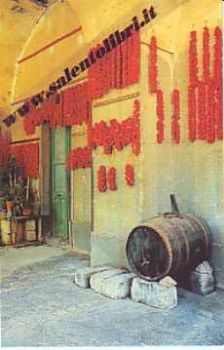 Visualizza i dettagli per CARTOLINA 10 X 17 VILLAGGIO RESTA - Nardò Immagine di CARTOLINA 10 X 17 VILLAGGIO RESTA - Nardò