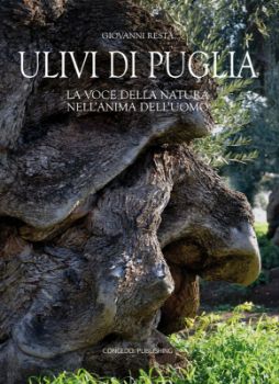 Visualizza i dettagli per Ulivi di Puglia Immagine di Ulivi di Puglia