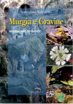 Visualizza i dettagli per TERRA DI PUGLIA. POESIA D`IMMAGINE (LA PUGLIA SI METTE IN POSA) Immagine di TERRA DI PUGLIA. POESIA D`IMMAGINE (LA PUGLIA SI METTE IN POSA)