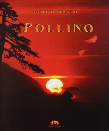 Immagine di POLLINO. VIAGGIO INTERIORE IN UNA REALTA` IRREALE. EDIZ. ILLUSTRATA