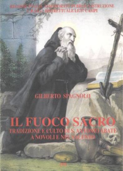 Immagine di IL FUOCO SACRO. TRADIZIONE E CULTO DI S. ANTONIO ABATE A NOVOLI NEL SALENTO