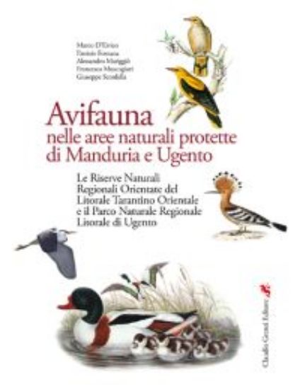 Immagine di AVIFAUNA NELLE AREE NATURALI PROTETTE DI MANDURIA E UGENTO