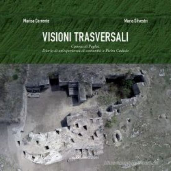 Immagine di VISIONI TRASVERSALI. CANOSA DI PUGLIA. DIARIO DI UN'ESPERIENZA DI COMUNITA' A PIETRA CADUTA