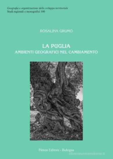 Immagine di PUGLIA. AMBIENTI GEOGRAFICI NEL CAMBIAMENTO (LA)